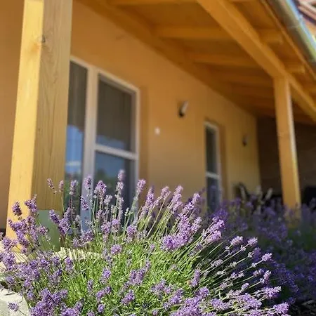Apartament Vine *